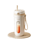 CEOOL CZ303 Juicer Blender